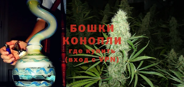 амф Аркадак