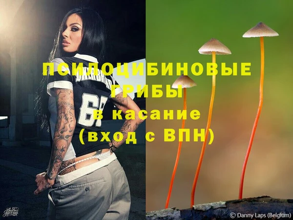 амф Аркадак