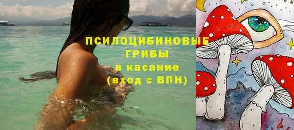 прущий лед Армянск